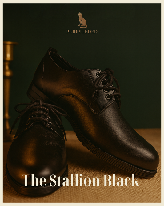 The Stallion Black